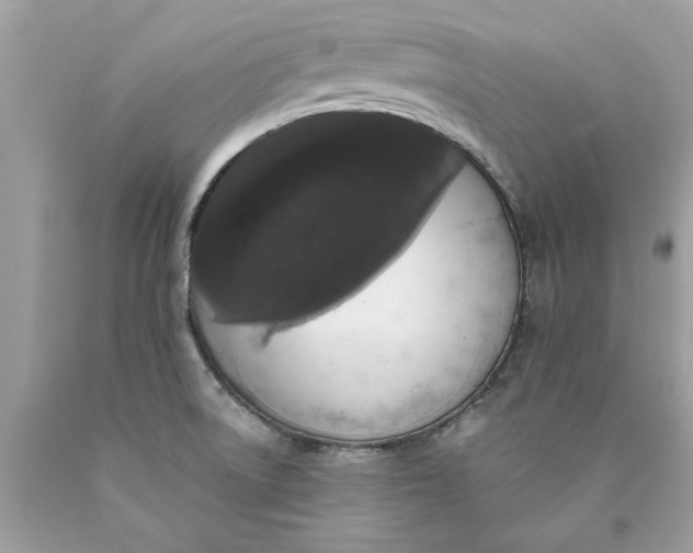 X0000089961522200707201936