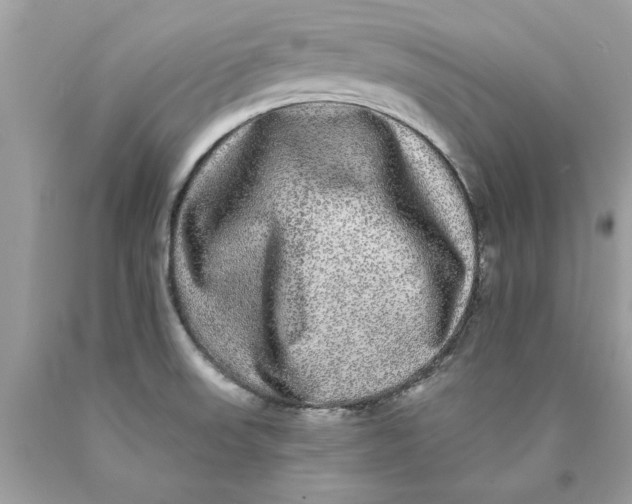 X0000089961523200707201936