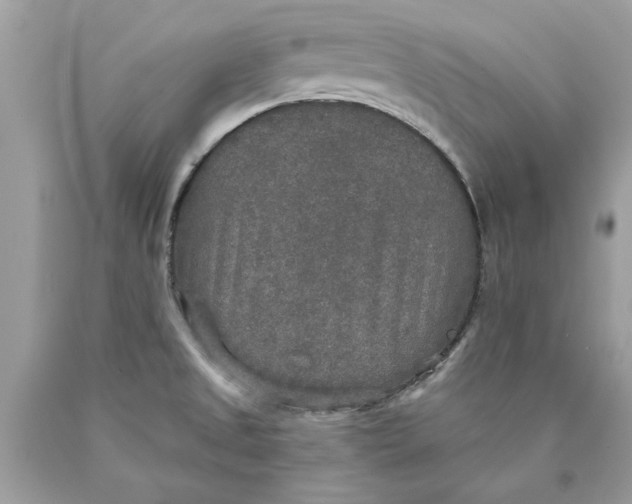 X0000089961525200707201936