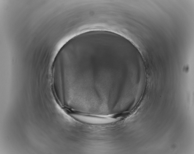 X0000089961527200707201936