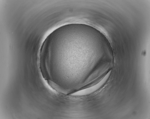 X0000089961528200707201936