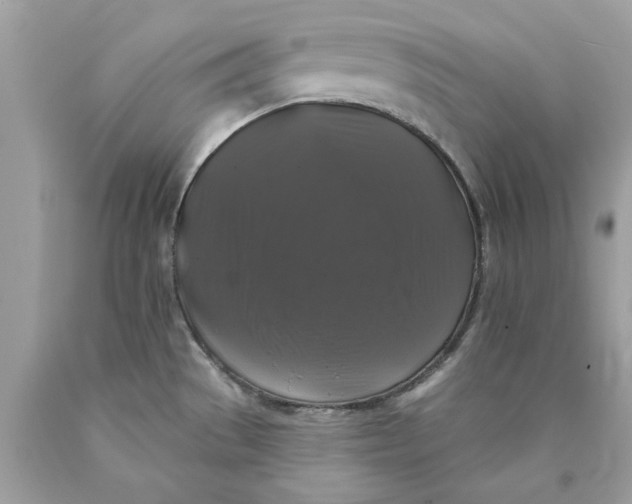 X0000089961529200707201936