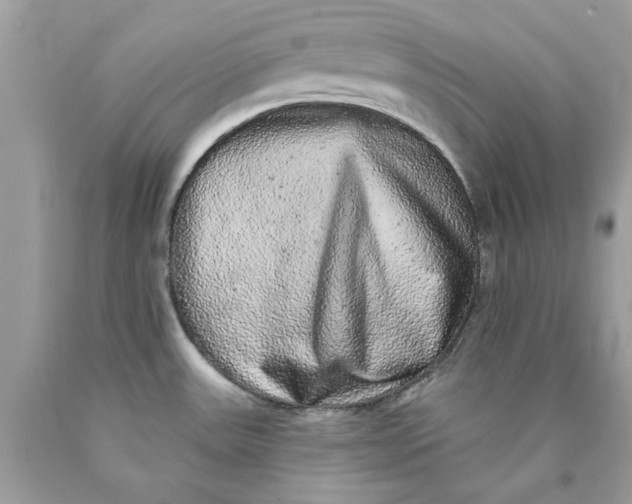 X0000089961531200707201936