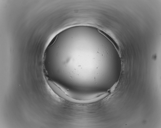 X0000089961532200707201936