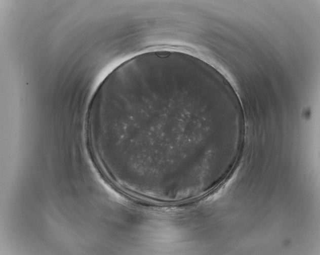 X0000089961533200707201936