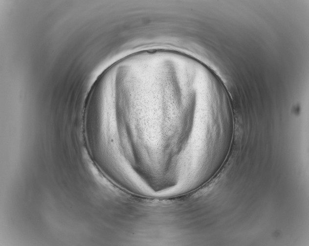 X0000089961534200707201937