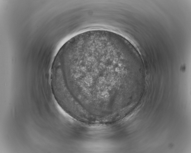 X0000089961535200707201937