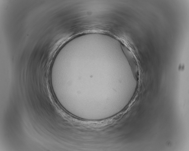 X0000089960001200707271911