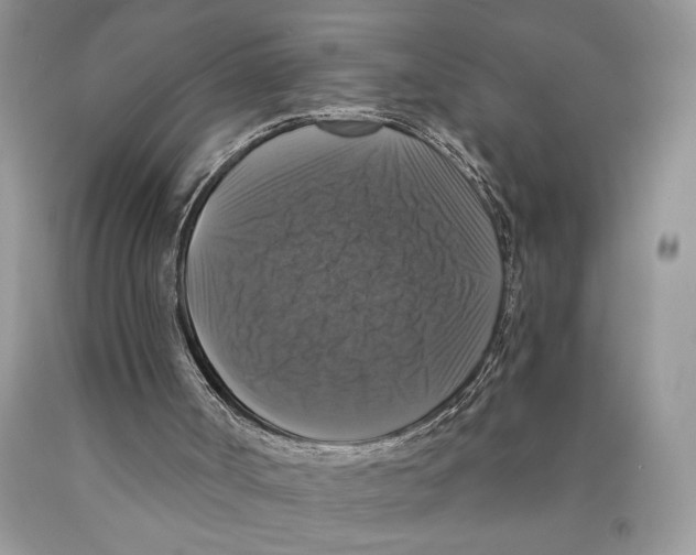 X0000089960002200707271911