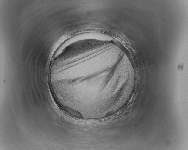 X0000089960003200707271911