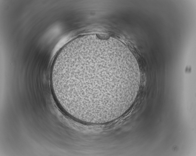 X0000089960004200707271911