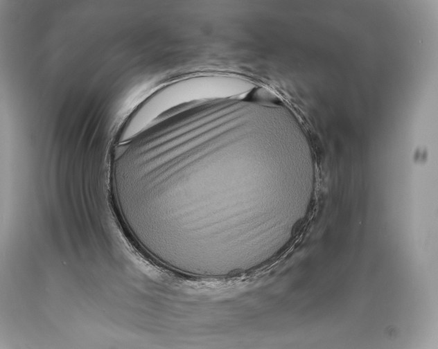 X0000089960005200707271911