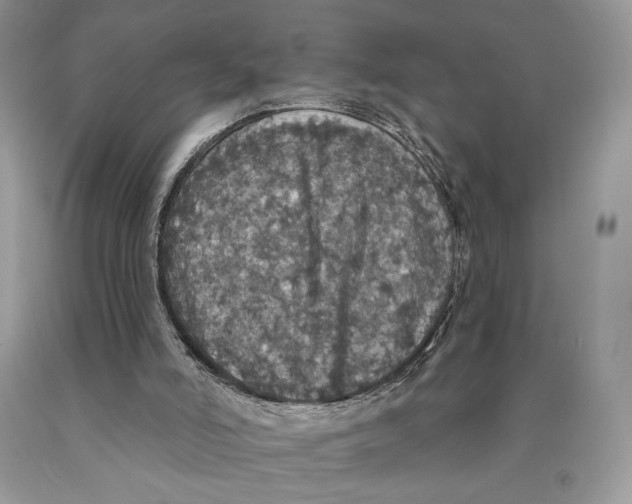 X0000089960006200707271910