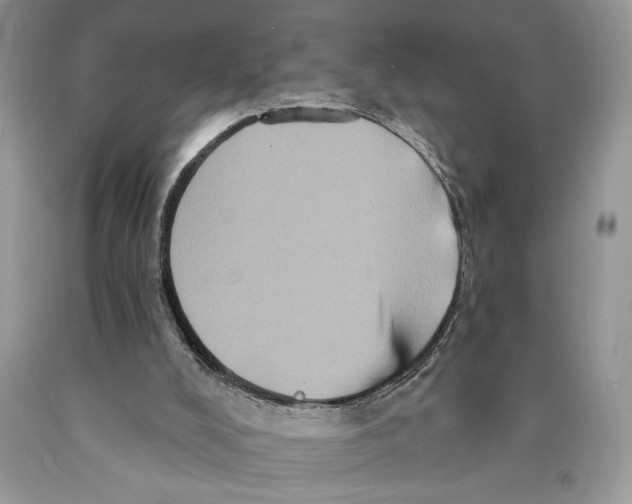 X0000089960008200707271910