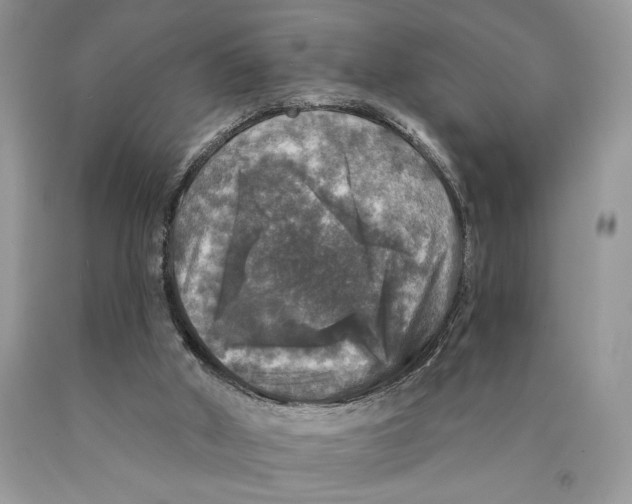 X0000089960010200707271910