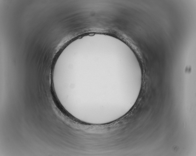 X0000089960011200707271910