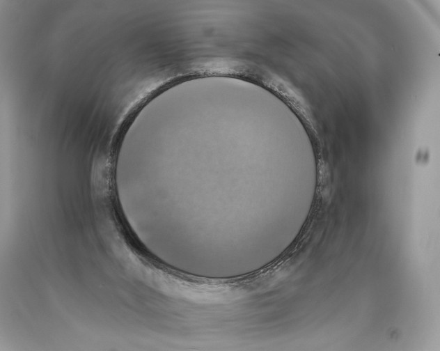 X0000089960012200707271910