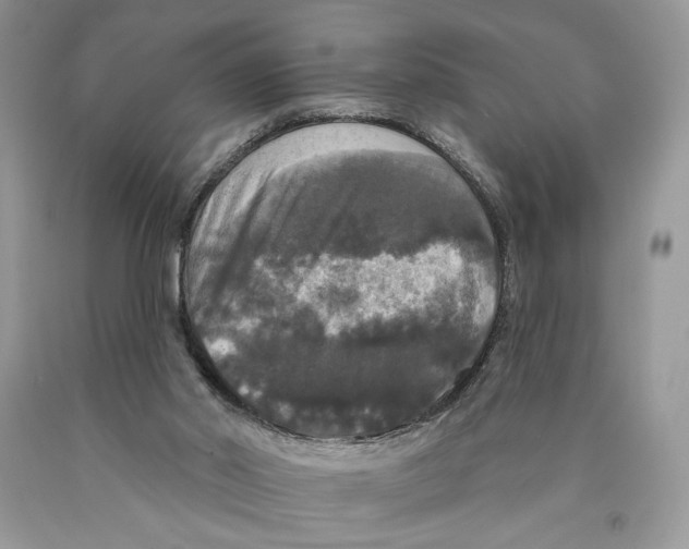 X0000089960014200707271910