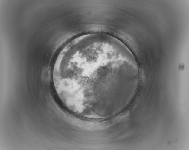 X0000089960016200707271910