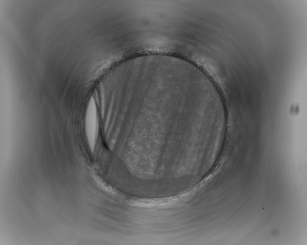 X0000089960017200707271910