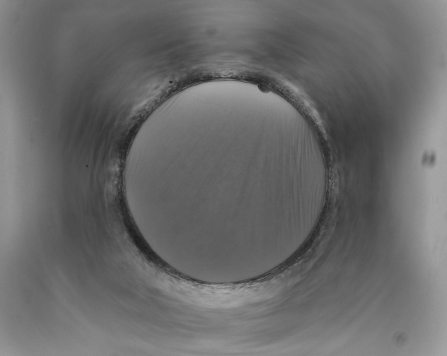 X0000089960018200707271910