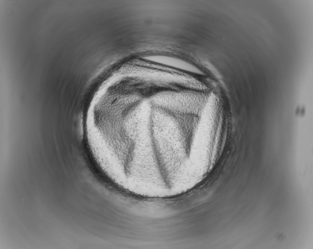 X0000089960020200707271910