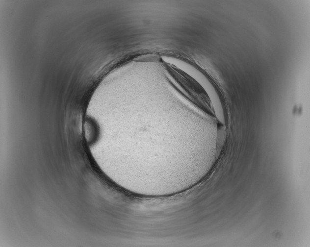 X0000089960021200707271910