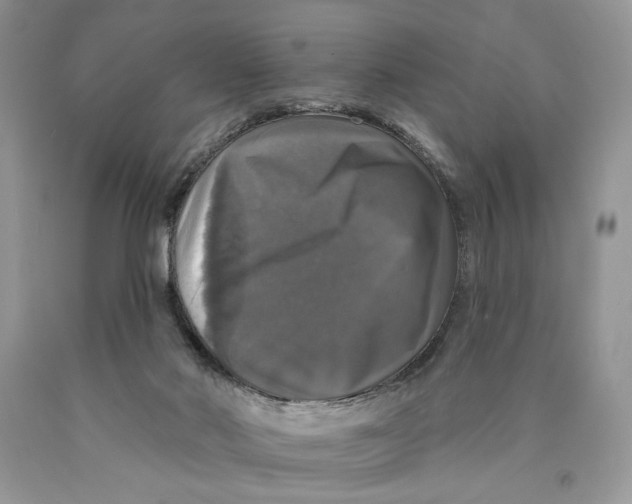 X0000089960022200707271910