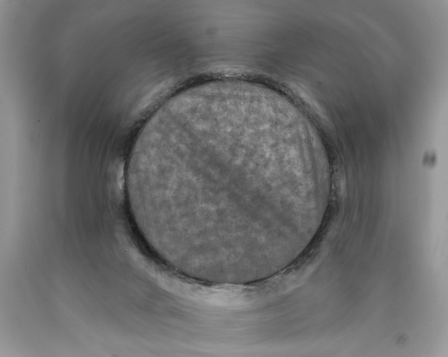 X0000089960024200707271910