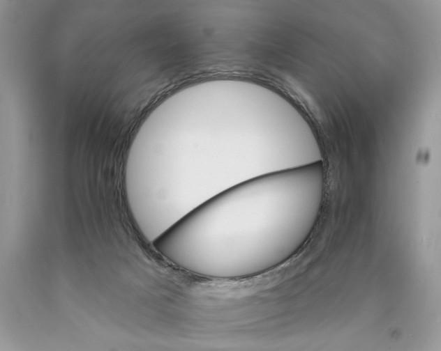 X0000089960025200707271910