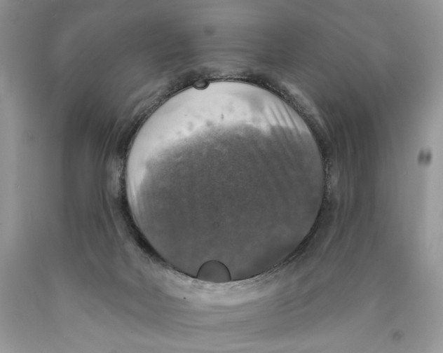 X0000089960026200707271910