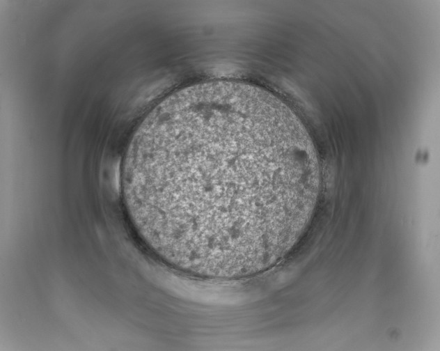 X0000089960028200707271910