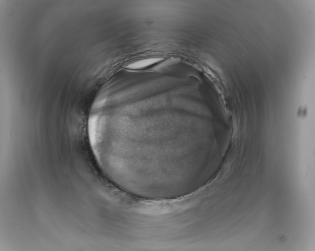 X0000089960029200707271910