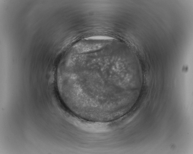 X0000089960032200707271910