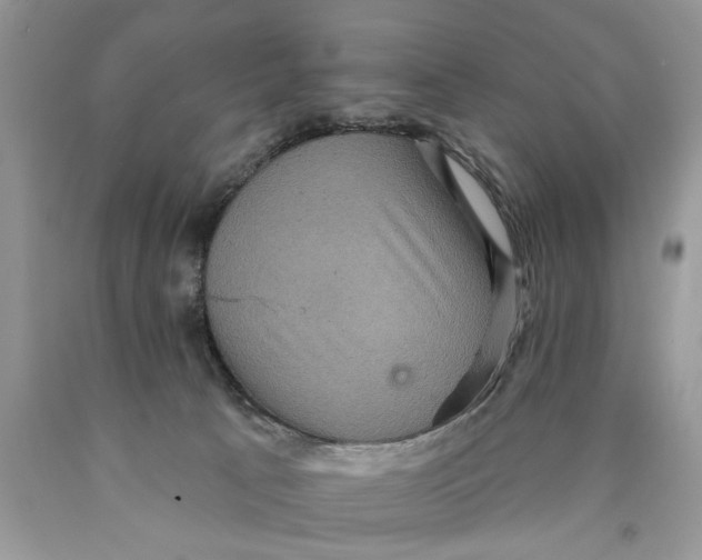 X0000089960033200707271910