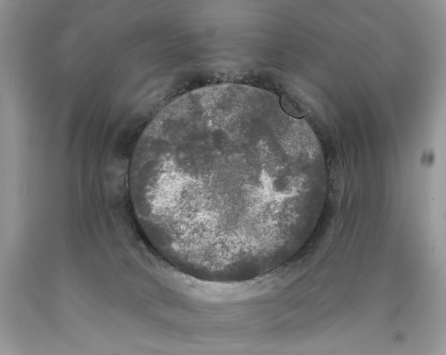 X0000089960034200707271910