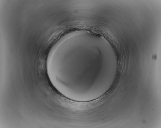 X0000089960035200707271910