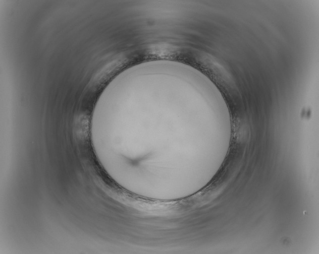 X0000089960036200707271910