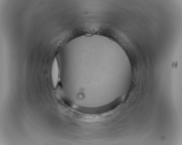 X0000089960037200707271910