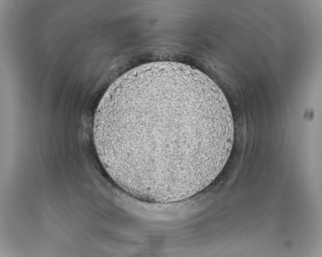 X0000089960038200707271910