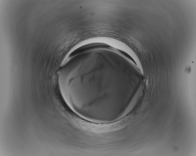 X0000089960039200707271910