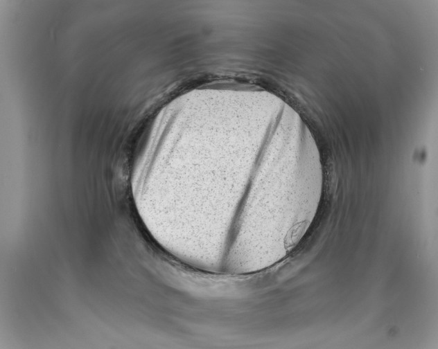 X0000089960040200707271910