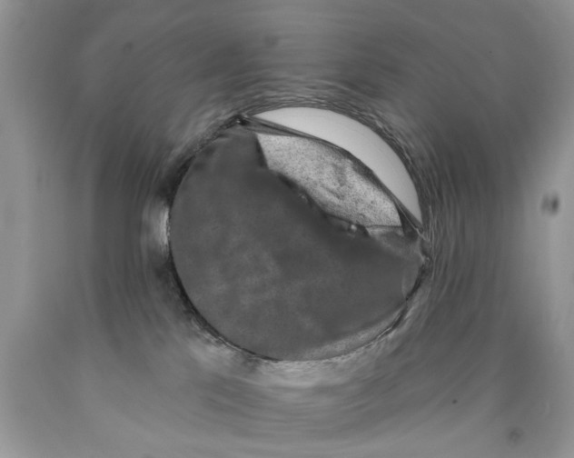 X0000089960041200707271910