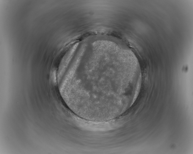 X0000089960042200707271910