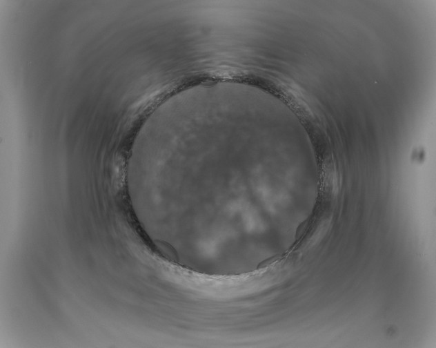 X0000089960043200707271910