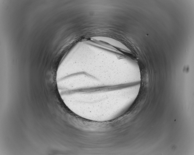 X0000089960044200707271910