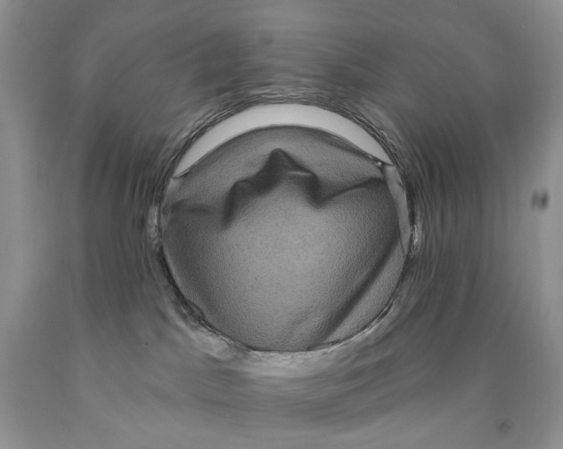 X0000089960045200707271910