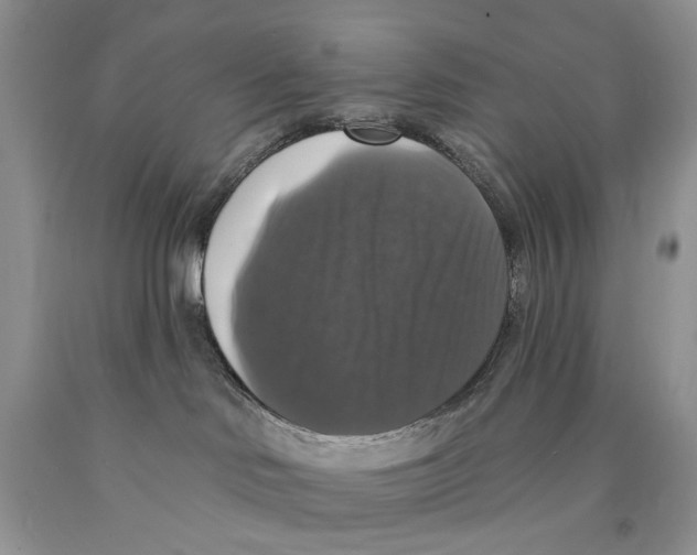 X0000089960046200707271910