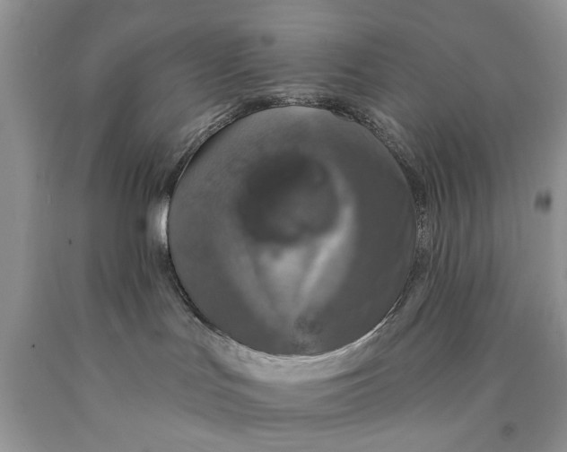 X0000089960047200707271910