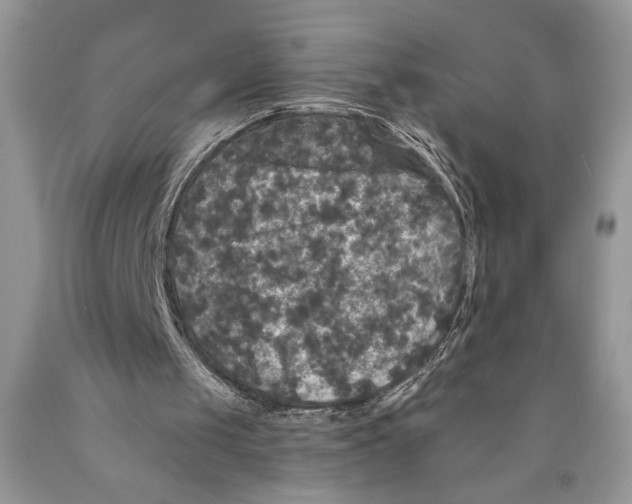 X0000089960049200707271909